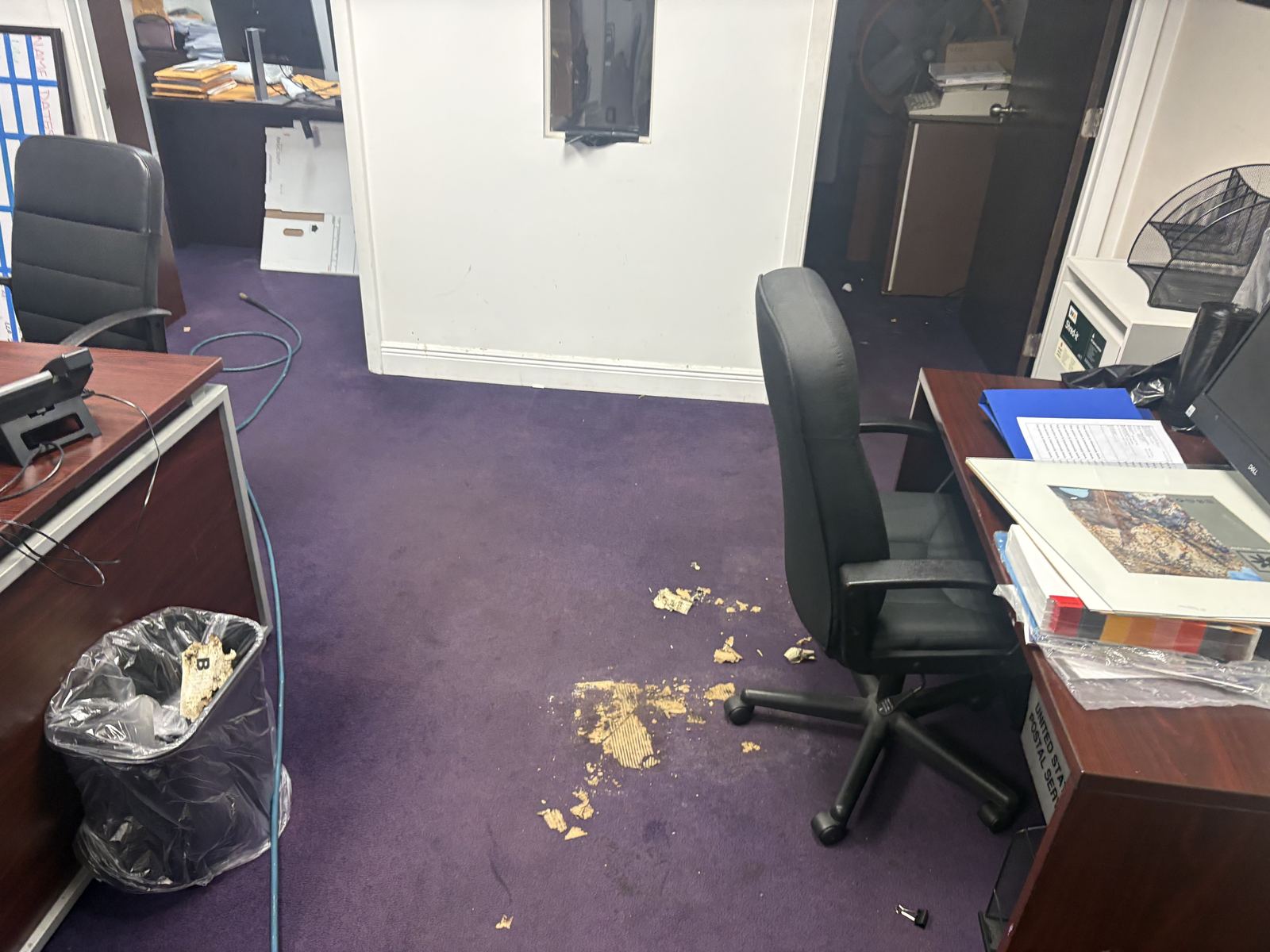 Purple office carpet with debris on it, before cleaning