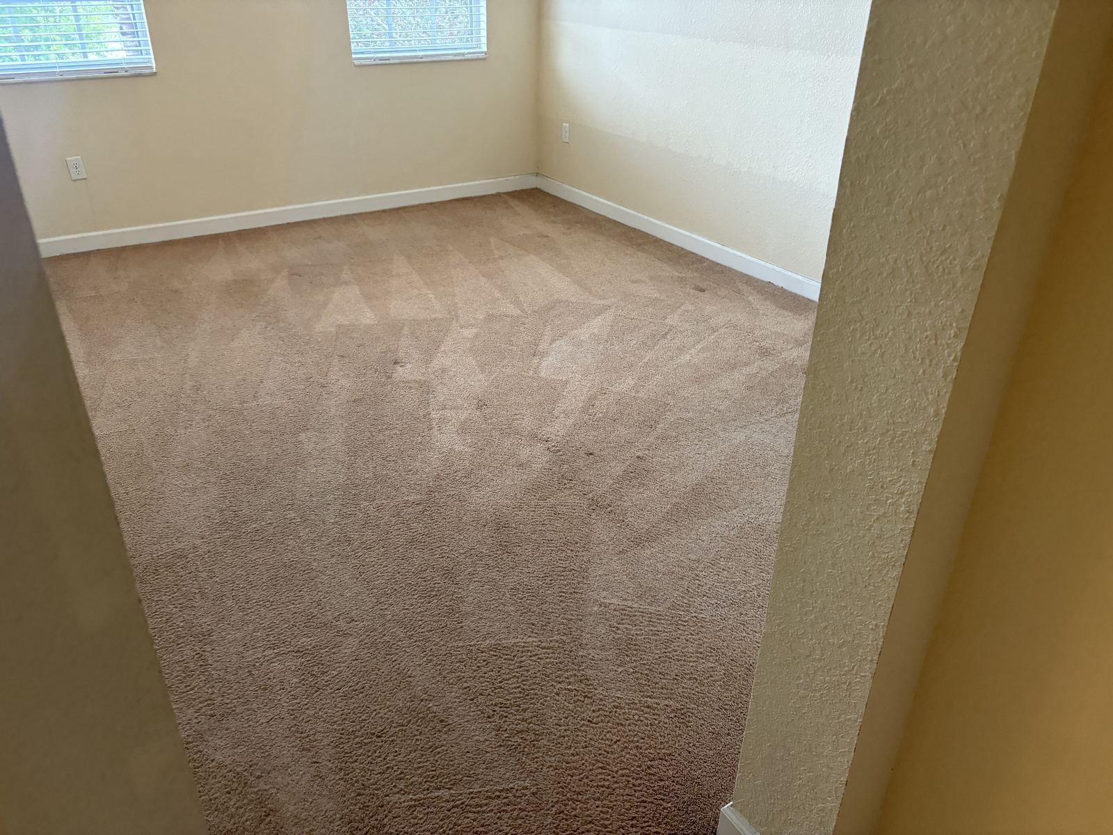 The same beige carpet after cleaning, with fresh wand lines