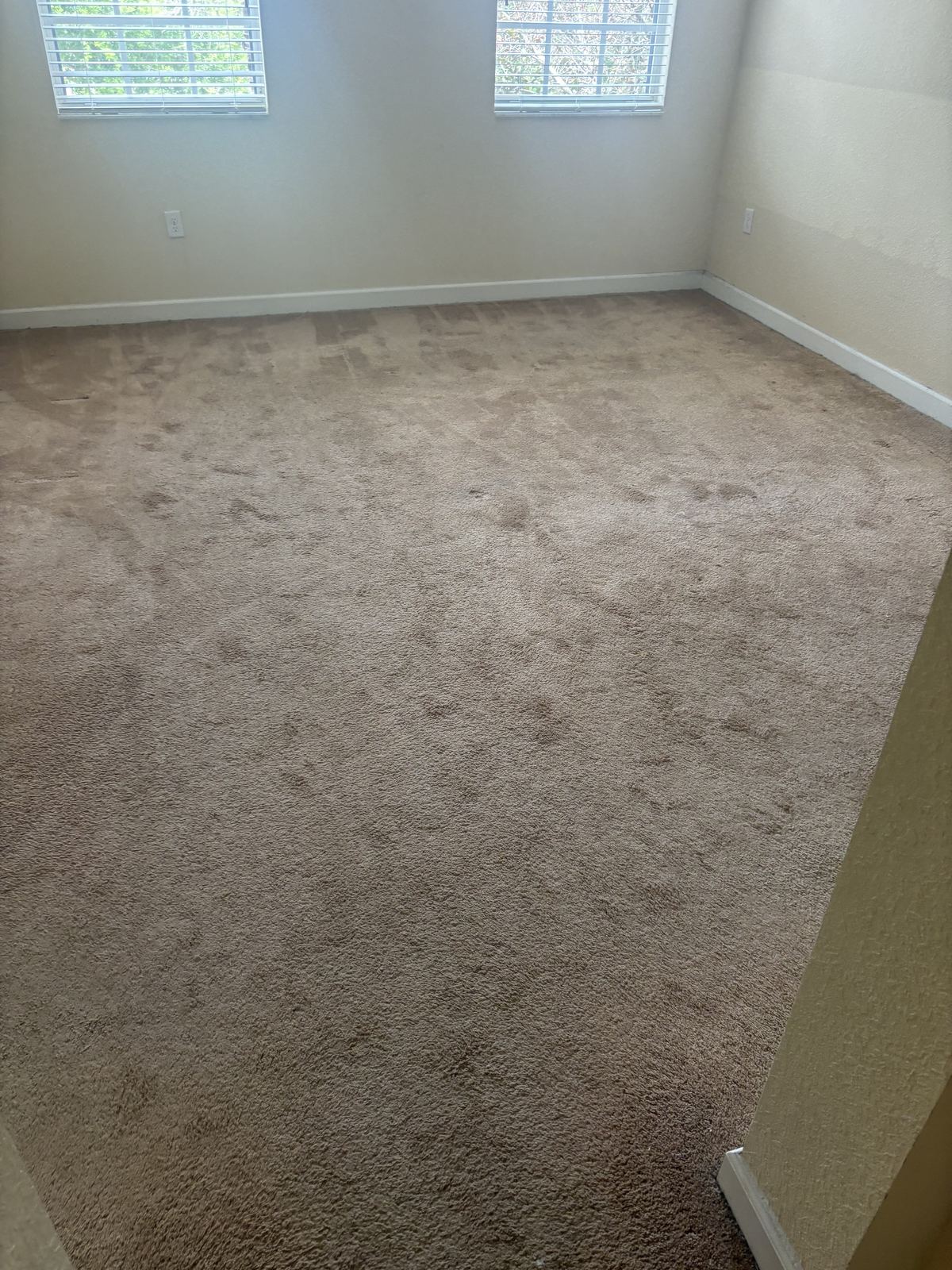 Beige carpet in an empty room, before cleaning