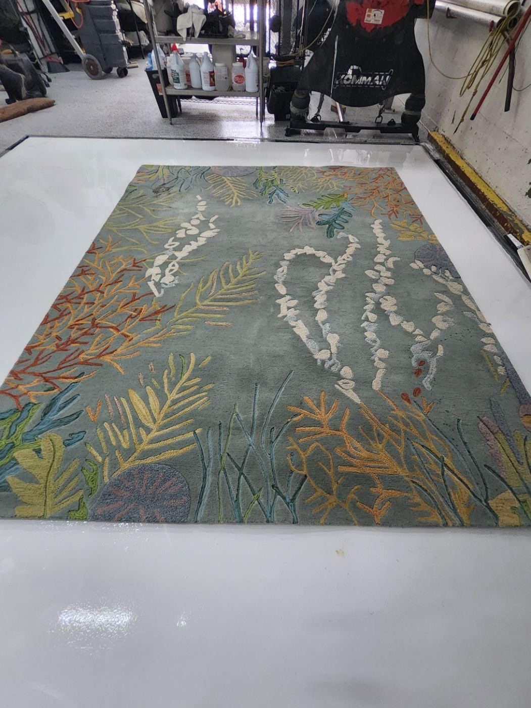 Blue area rug with a coral and leaf pattern, before cleaning